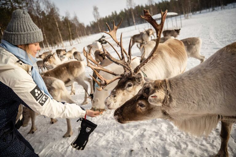 road trip lapland ice driving